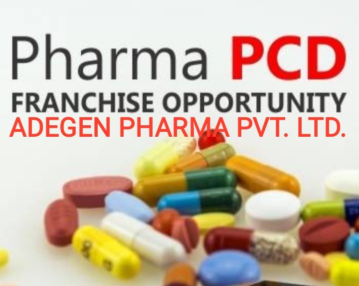 PCD Pharma Franchise Business in Mumbai